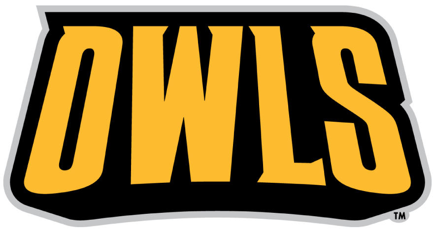 Kennesaw State Owls 2012-Pres Wordmark Logo iron on transfers for T-shirts